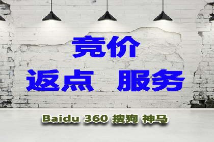 百度SEM广告投放的创意与执行：成功案例详解